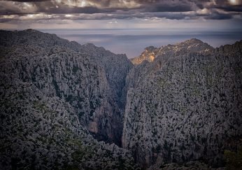 ric-balearik-2014-featured-image